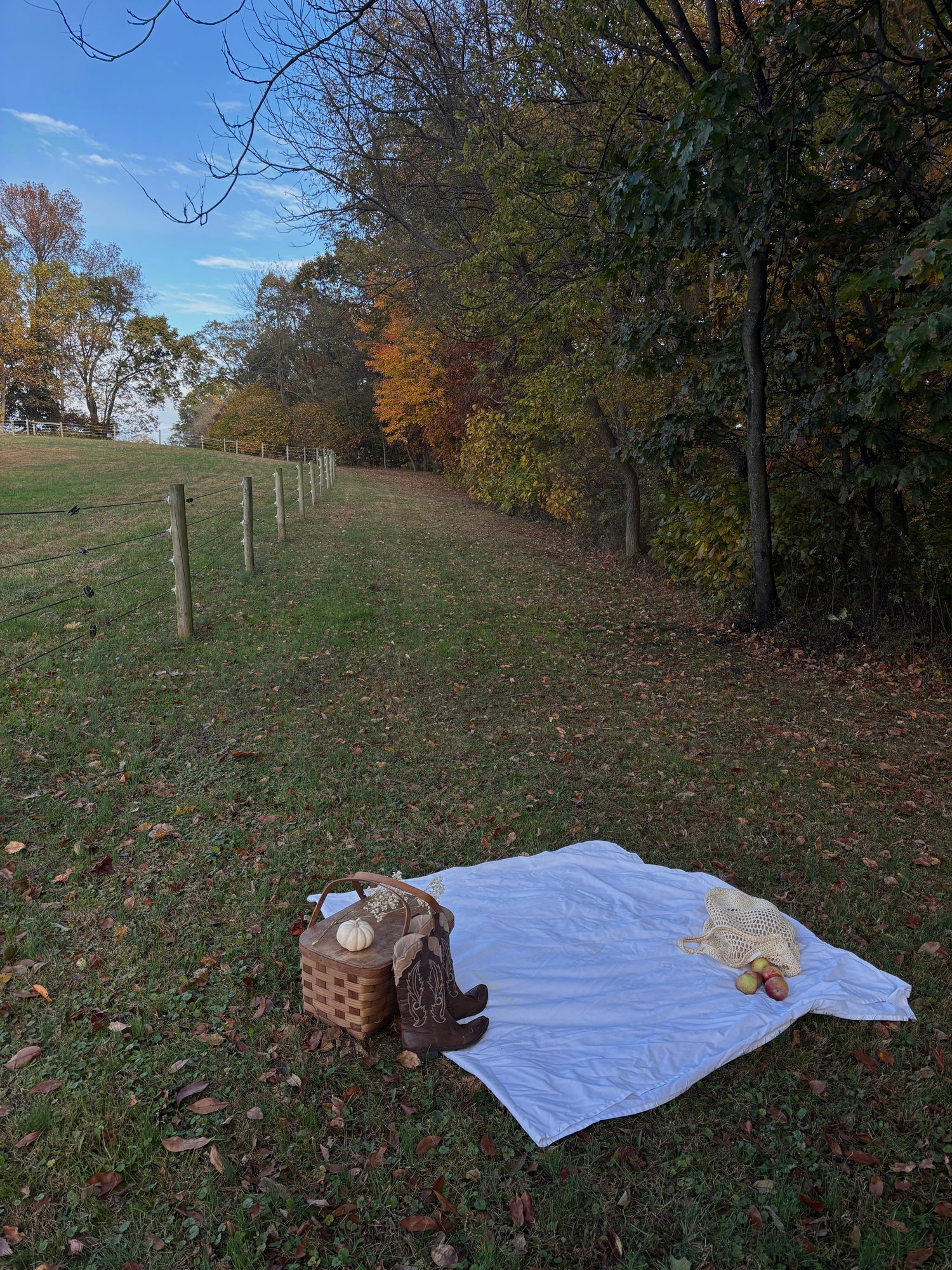 The Cozy Herd Collection