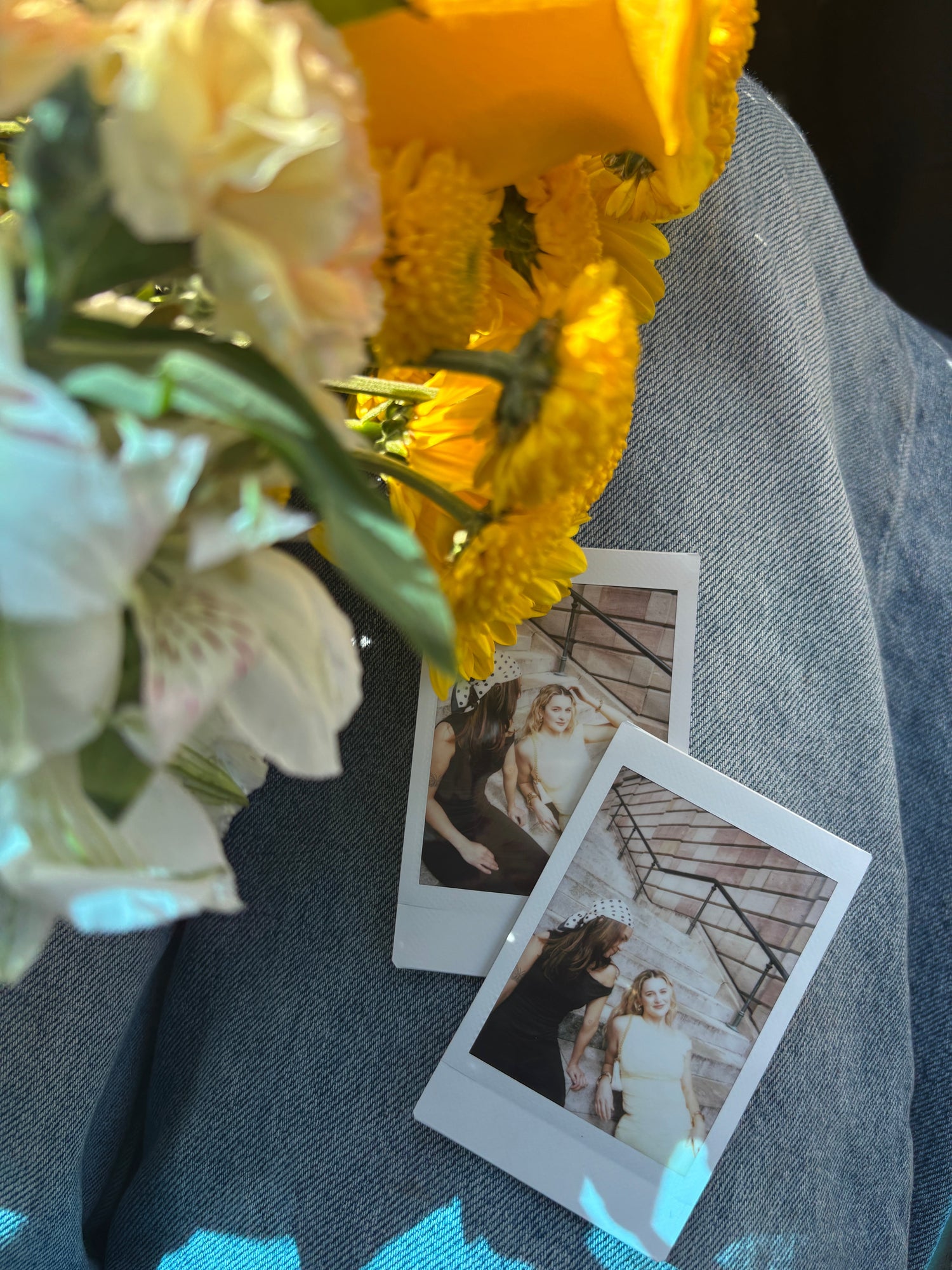 Soft Bloom Collection